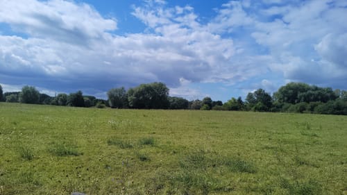 Mühlensee Rundweg