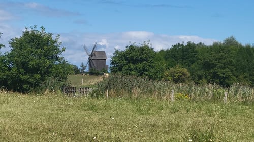 Mühlensee Rundweg