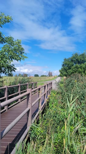 Mühlensee Rundweg