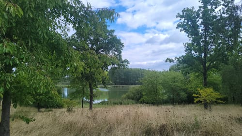 Mühlensee Rundweg