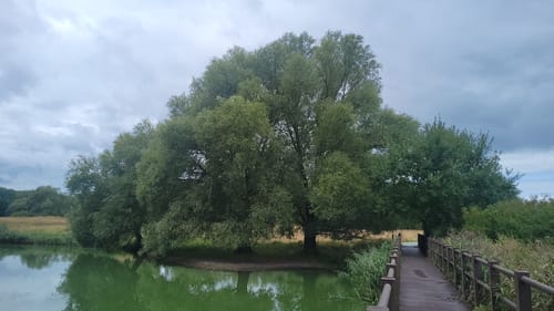 Mühlensee Rundweg