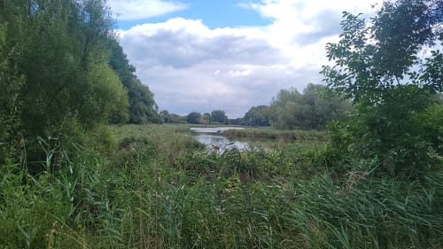 Mühlensee Rundweg