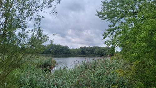 Mühlensee Rundweg