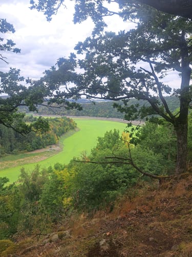 Scheid - Knorreichensteig - Kahle Haardt