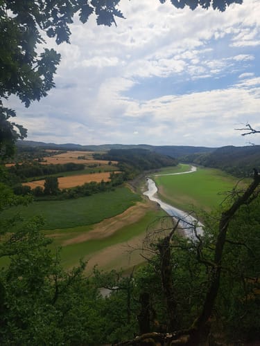 Scheid - Knorreichensteig - Kahle Haardt