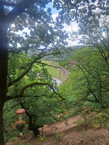 Scheid - Knorreichensteig - Kahle Haardt