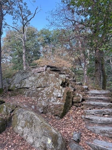 Kronberg - Altkönig - Fuchstanz