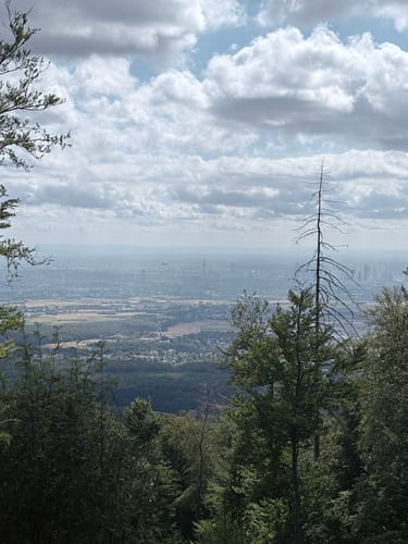 Kronberg - Altkönig - Fuchstanz