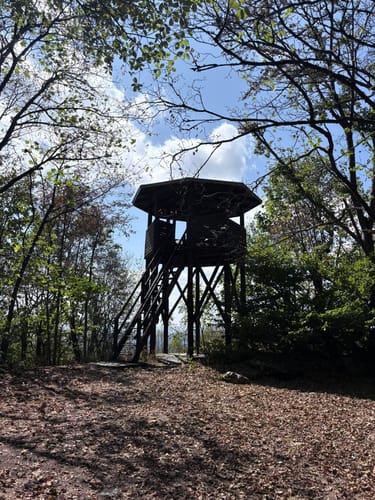 Kronberg - Altkönig - Fuchstanz