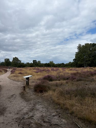 Westruper Heide: Bienenroute (rot)