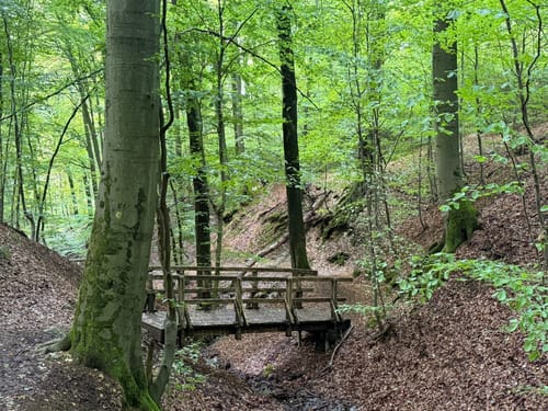 Margaretenhöhe - Löwenburg - Tretschbachtal - Ölberg