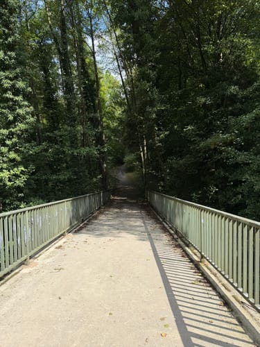 Margaretenhöhe - Löwenburg - Tretschbachtal - Ölberg