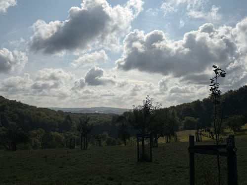 Margaretenhöhe - Löwenburg - Tretschbachtal - Ölberg
