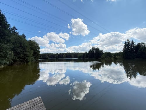 Waldnaabtal Rundweg (Hammermühl-Runde kurz)