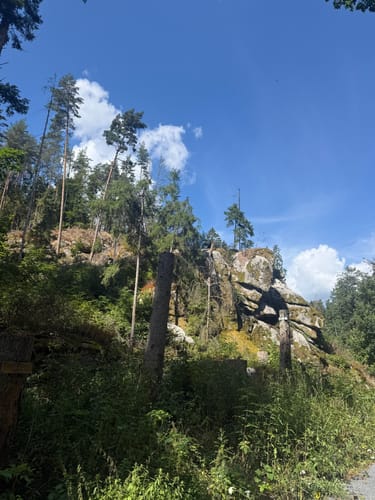 Waldnaabtal Rundweg (Hammermühl-Runde kurz)
