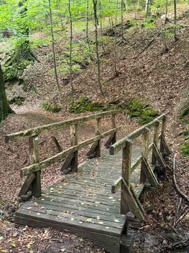 Margaretenhöhe - Löwenburg - Tretschbachtal - Ölberg