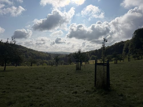 Margaretenhöhe - Löwenburg - Tretschbachtal - Ölberg