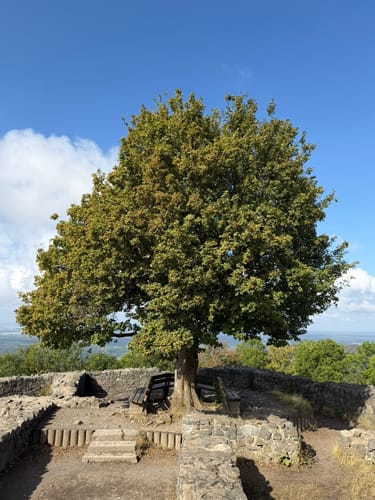 Margaretenhöhe - Löwenburg - Tretschbachtal - Ölberg