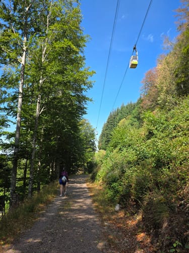 Schauinsland Rundweg