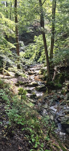 Roches Crahay - Vallon du Ninglinspo