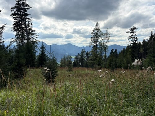Vom Schliersee zum Tegernsee über die Gindelalm