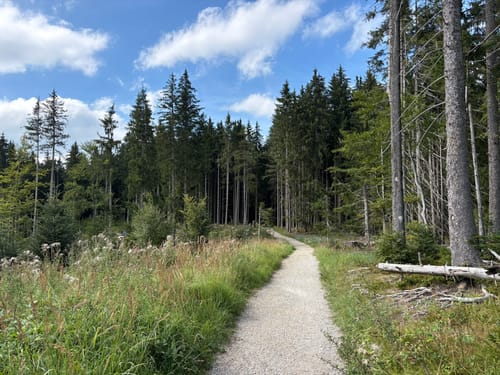 Vom Schliersee zum Tegernsee über die Gindelalm