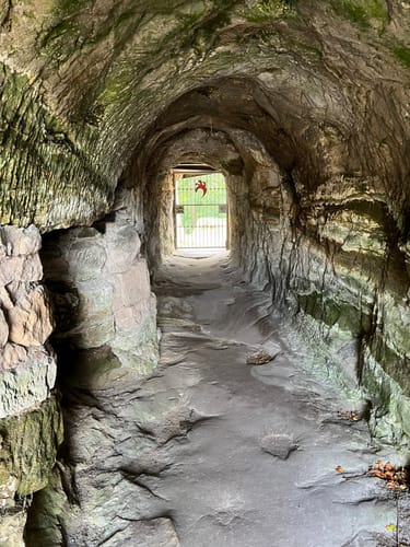 Burg Regenstein und Große Sandhöhlen
