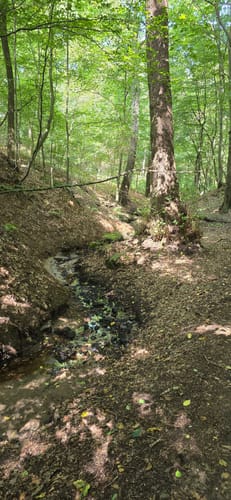 Dreizehn-Brücken-Weg