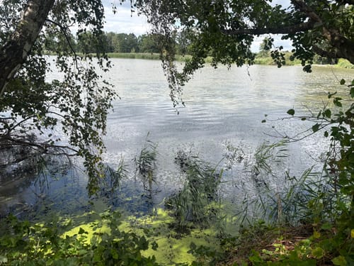Wartha Teichrunde