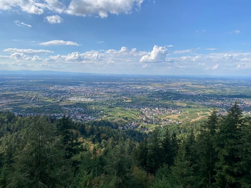 Fessenbach - Fußberg