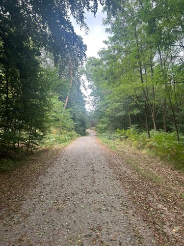 Auf dem Hülsenberg (Ratingen A5)