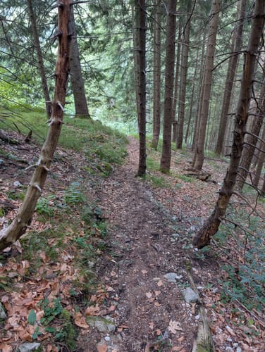 Auf den Hochfelln übers Wasserwandl