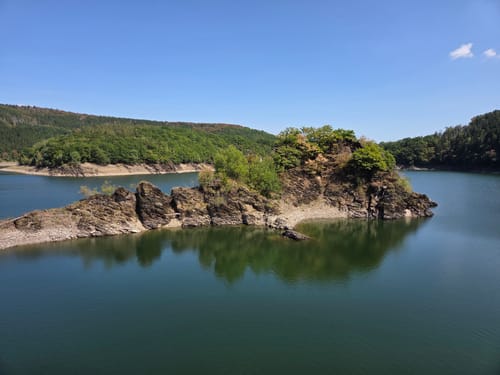 Bird Watching Runde: Von Vogelsang über die Urftseebrücke