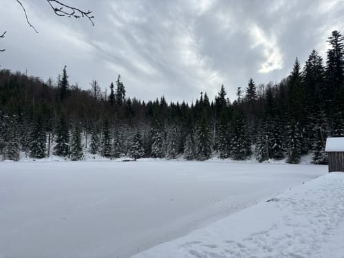 Brecherspitz ab Fischhausen-Neuhaus