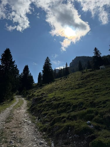 Breitenstein über Bucheralm und Kesselalm