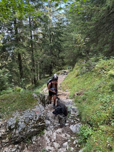 Breitenstein über Bucheralm und Kesselalm