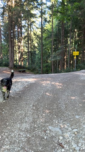 Breitenstein über Bucheralm und Kesselalm