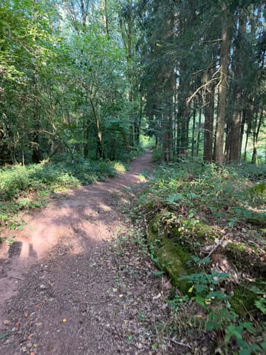 Kesselblick