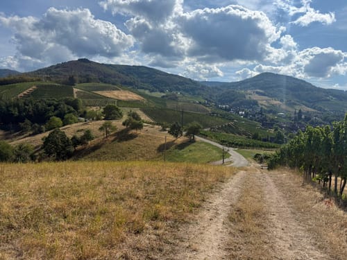 Alde Gott Panoramarunde (Genießerpfad)