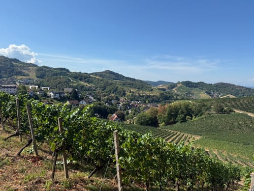Alde Gott Panoramarunde (Genießerpfad)