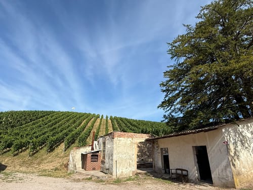 Alde Gott Panoramarunde (Genießerpfad)