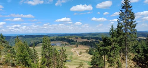 U(h)rwaldpfad Rohrhardsberg (Genießerpfad)