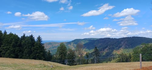 U(h)rwaldpfad Rohrhardsberg (Genießerpfad)