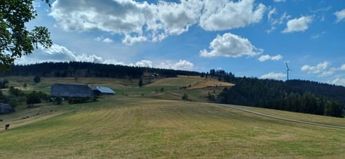 U(h)rwaldpfad Rohrhardsberg (Genießerpfad)