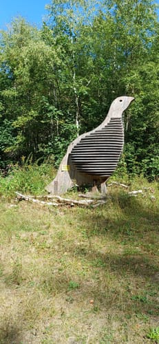 U(h)rwaldpfad Rohrhardsberg (Genießerpfad)