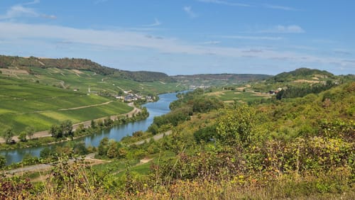 Moselsteig Etappe 2: Palzem - Nittel