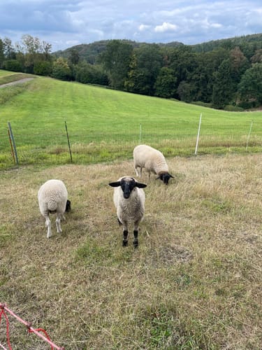 Deilbachtal Rundweg