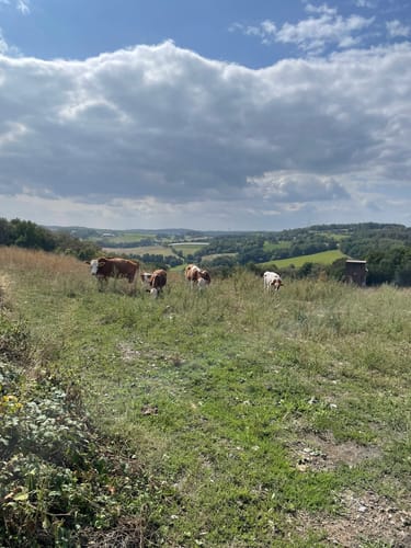 Deilbachtal Rundweg
