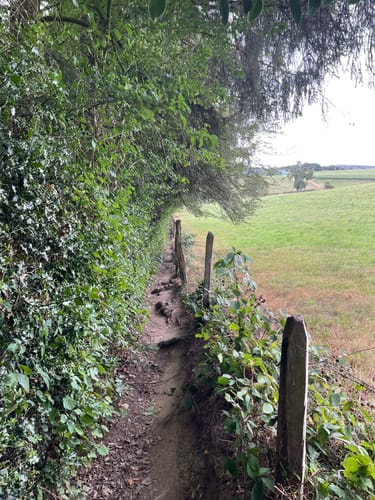 Deilbachtal Rundweg