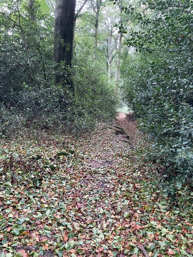 Deilbachtal Rundweg